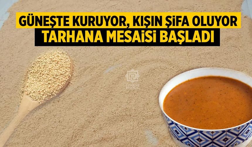 Güneşte kuruyor, kışın şifa oluyor: Çankırı’da tarhana mesaisi başladı