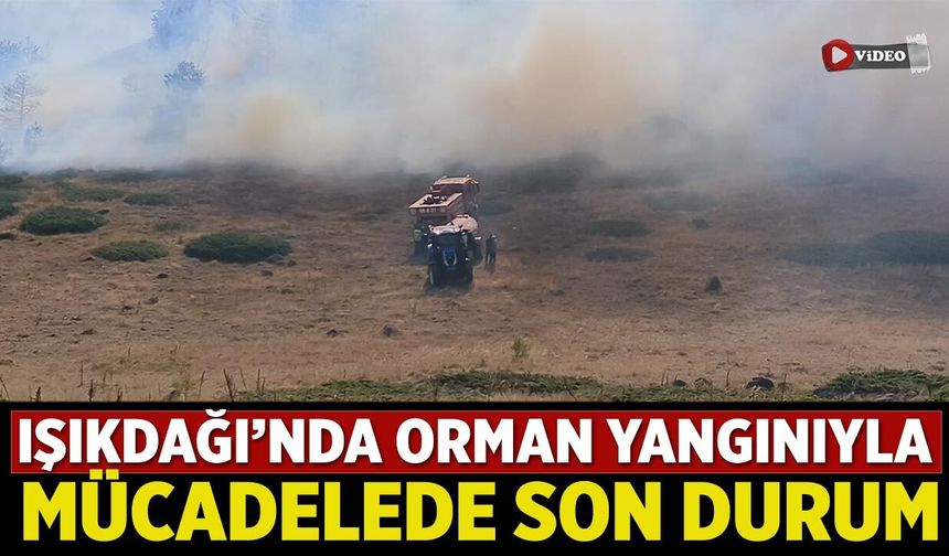 Işıkdağı’nda orman yangınıyla mücadelede son durum
