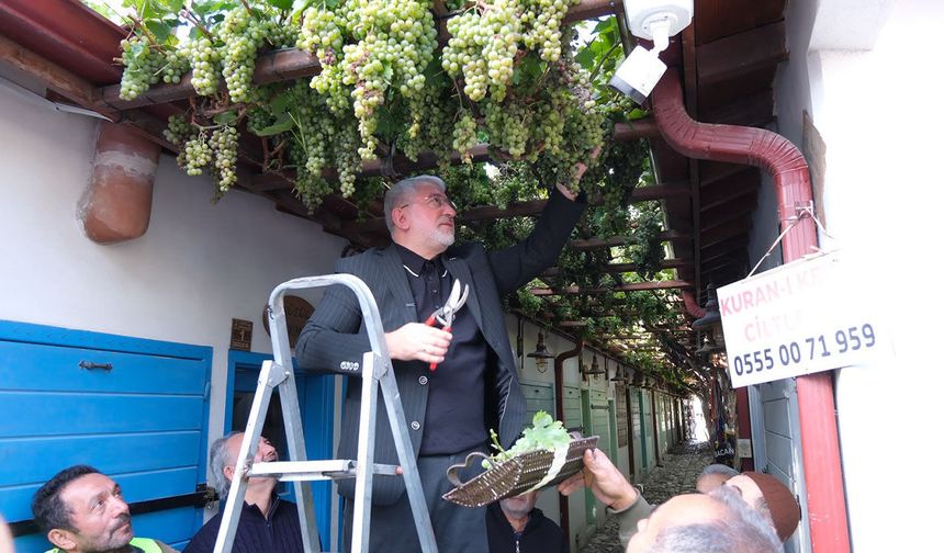 Başkan Aşgın, esnafla üzüm hasadında buluştu