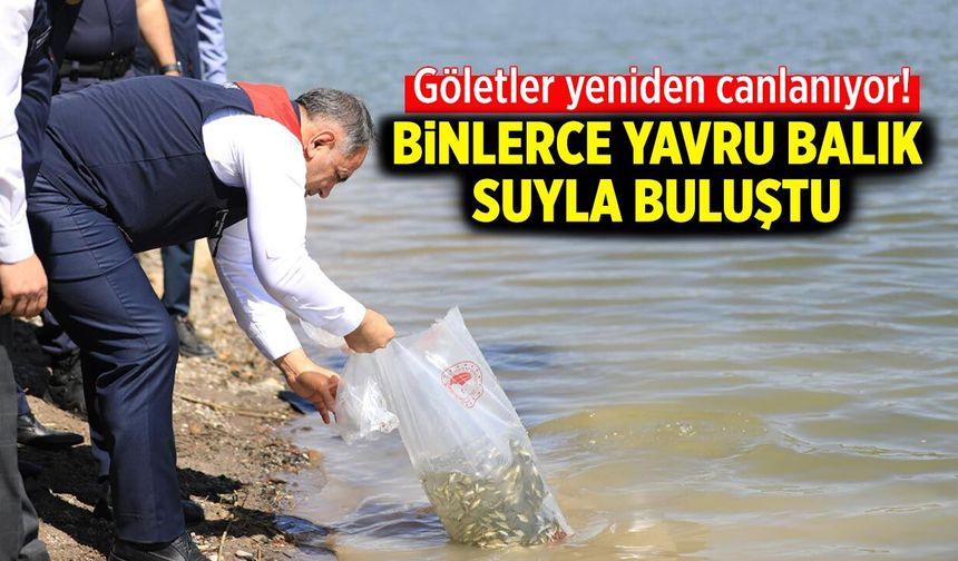 Çankırı’nın göletleri yeniden canlanıyor! Binlerce yavru balık suyla buluştu