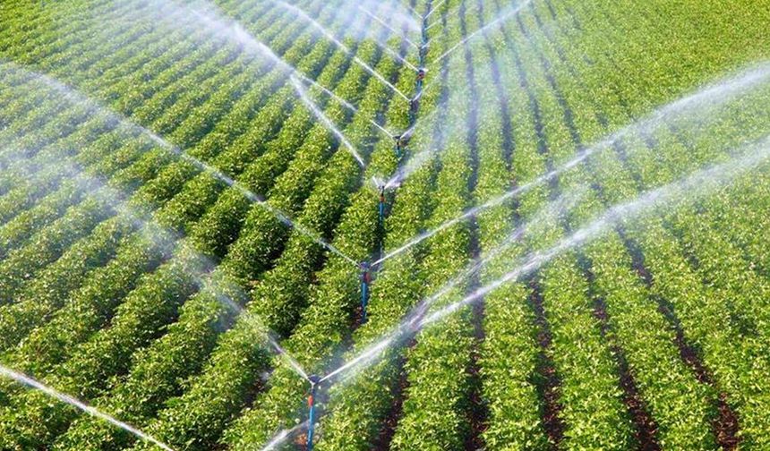 Çankırı’da üreticilere sulama desteği: Hak sahipleri belli oldu
