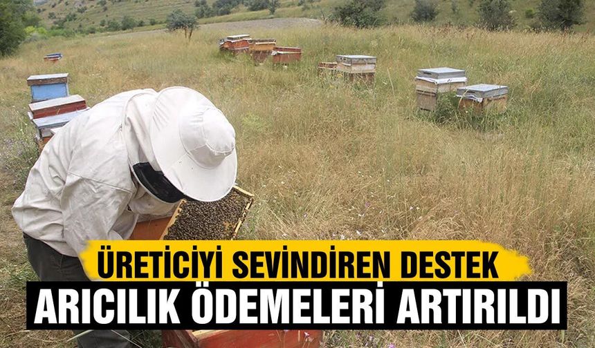 Üreticiyi sevindiren destek: Arıcılık ödemeleri artırıldı