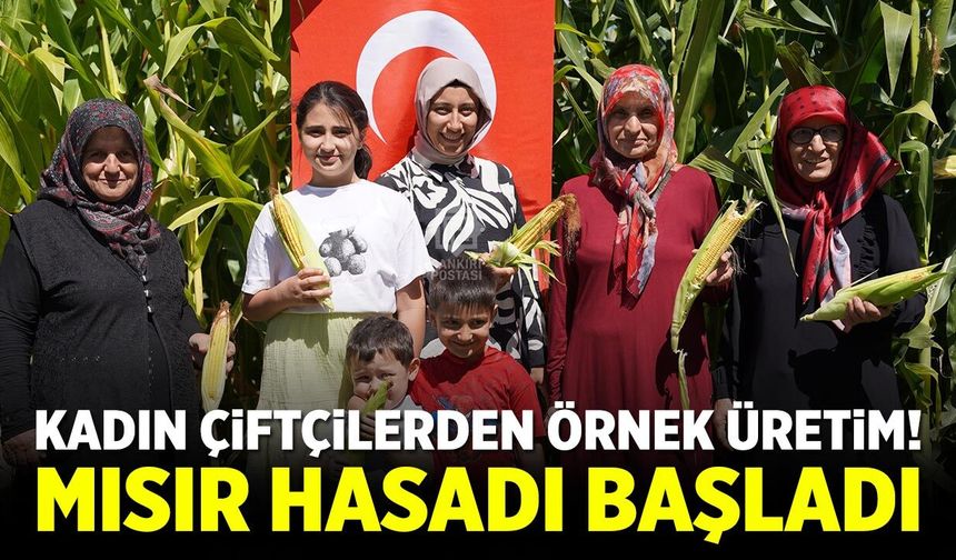 Korgun’da kadın çiftçilerden bereketli mısır hasadı