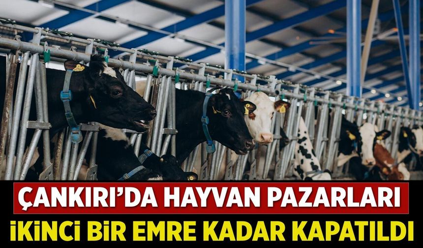 Çankırı’da hayvan pazarları ikinci bir emre kadar kapatıldı