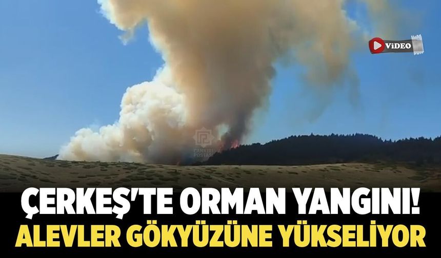 Çerkeş'te korkutan orman yangın! Alevler gökyüzüne yükseliyor