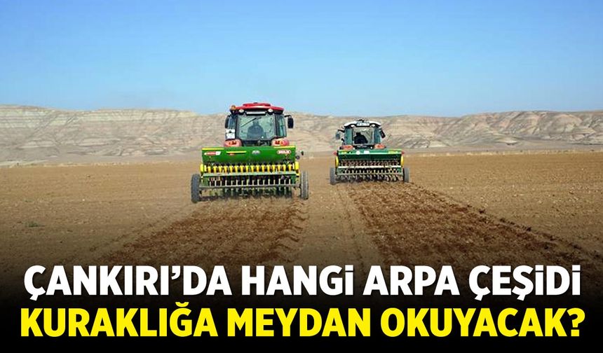 Çankırı’da hangi arpa çeşidi kuraklığa meydan okuyacak?