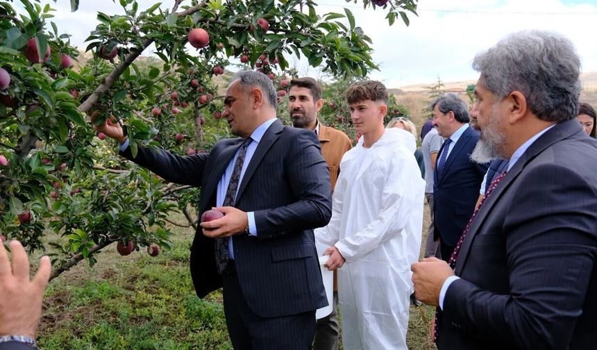 Vali Çakırtaş öğrencilerle birlikte elma hasadı yaptı