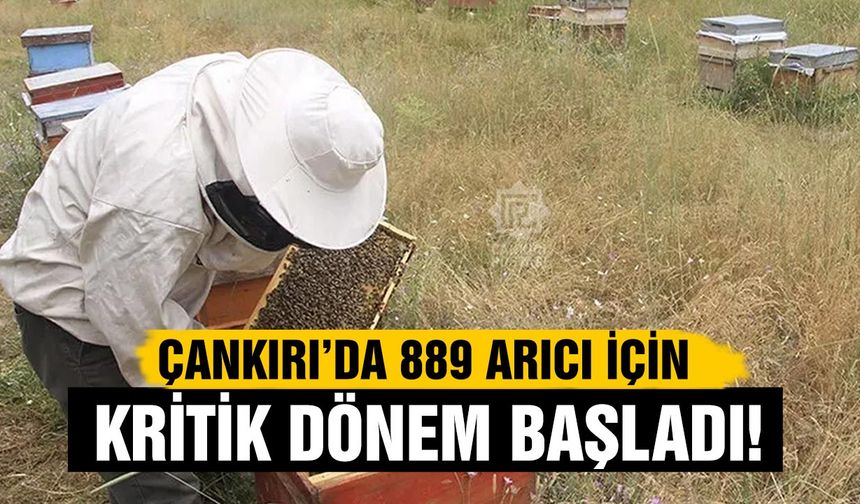 Çankırı’da 889 arıcı için kritik dönem başladı!