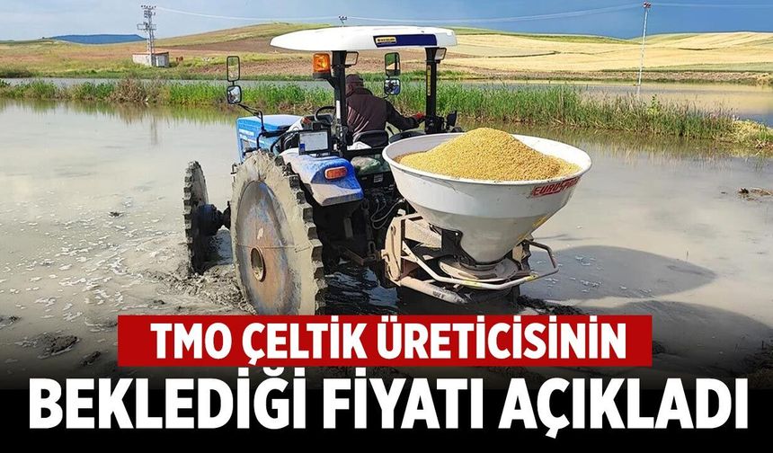 Çankırı'da çeltik üreticisinin beklediği fiyat açıklandı