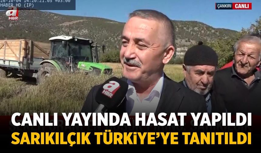 Canlı yayında hasat yapıldı: Sarıkılçık Pirinci Türkiye’ye tanıtıldı