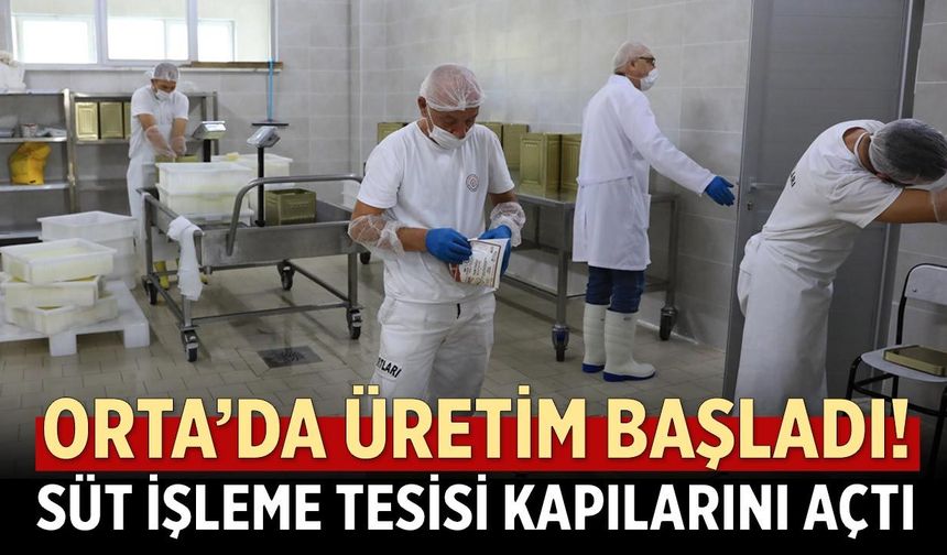 Orta’da üretim başladı! Süt işleme tesisi kapılarını açtı